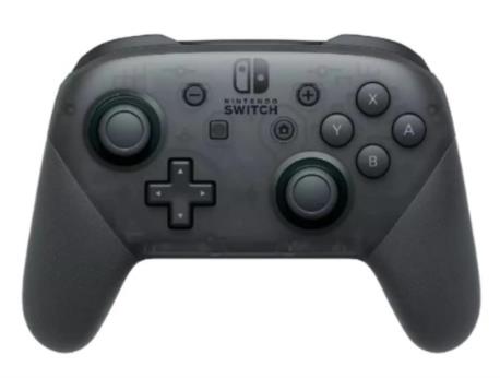 PRO CONTROLLER+CABLE USB SW 2MA
